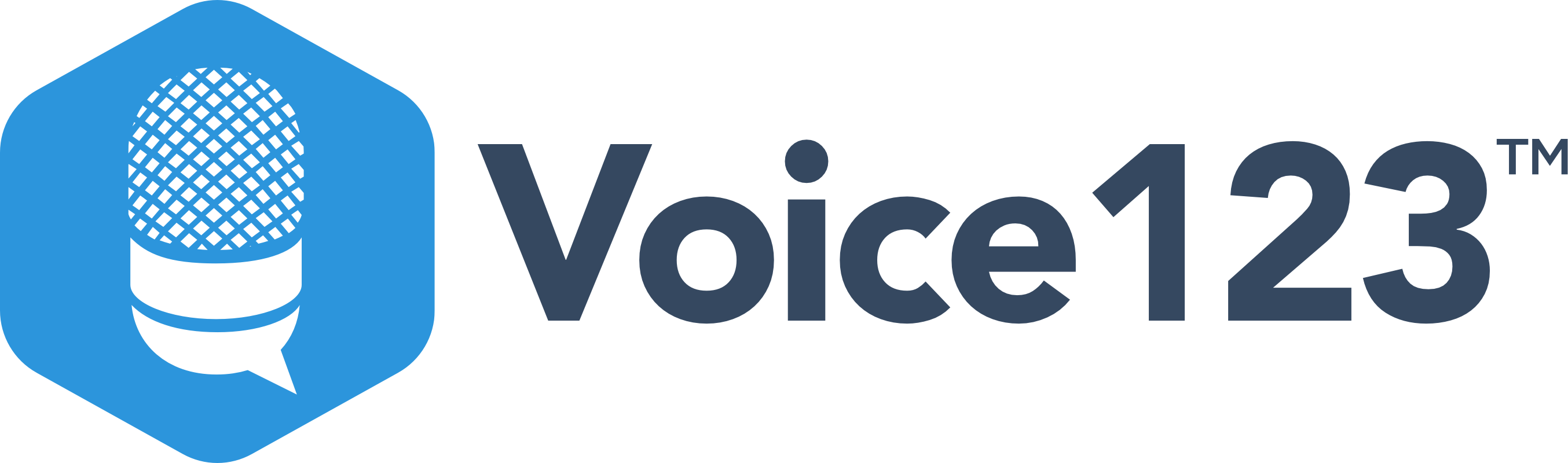 Voice123 logo